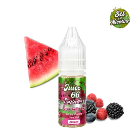 Paradise Berry Watermelon – sel de nicotine 10 ml