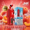 JNR Shishasip 35K – Pêche Glacée