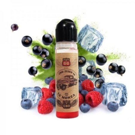 Monza CBD 2000 mg – 50 ml